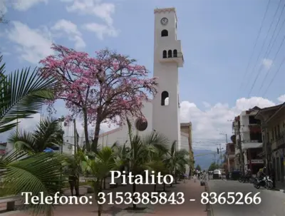 Agencia Pitalito